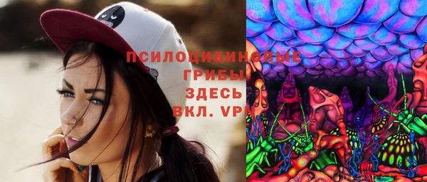 экстази Богородск