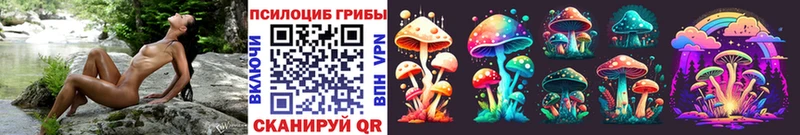 где можно купить   Городовиковск  Псилоцибиновые грибы GOLDEN TEACHER 