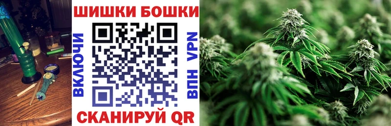 Каннабис план  как найти наркотики  Городовиковск 